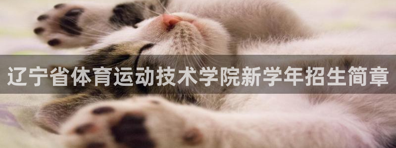 凯发官方正版app集团官网首页:辽宁省体育运动技术学院新学年