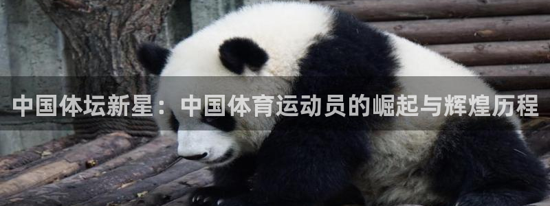 凯发官方平台体育:中国体坛新星:中国体育运动员的崛起与辉煌历